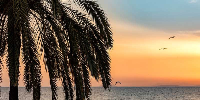 Luksusmarkedet på Costa del Sol går ind i en ny æra