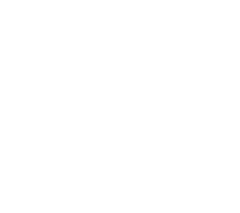 DittSpania.es